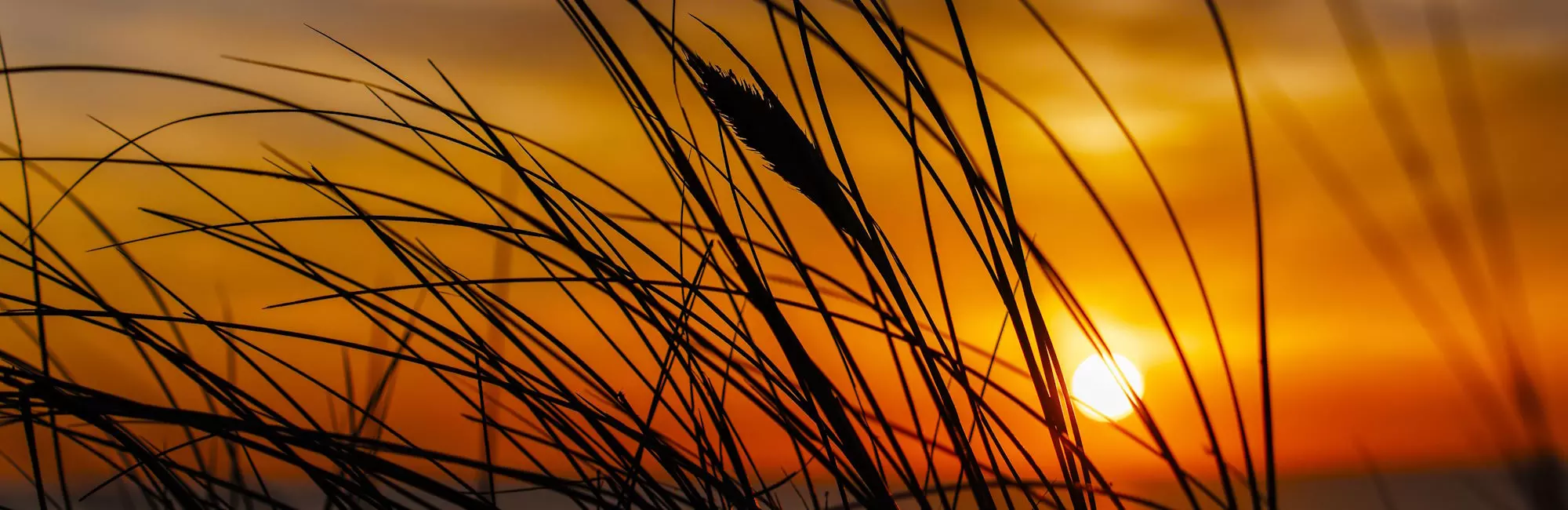 blogstefanheader