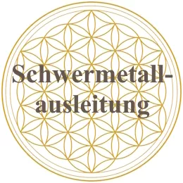 Schwermetallausleitung, Heilpraktikerin, Katrin Bieder-Laule